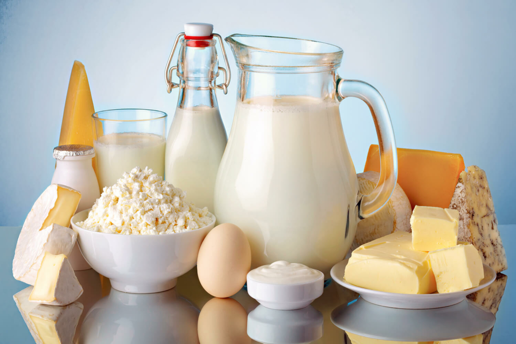 food processing engineering dairy